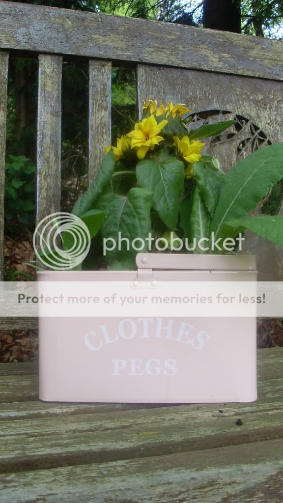 sunflowerclothespegsplanter.jpg?t=1241428462