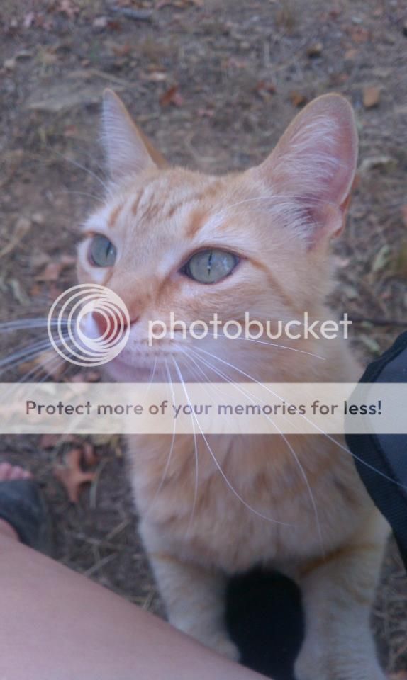 Question about growing to fast and pics - Goats