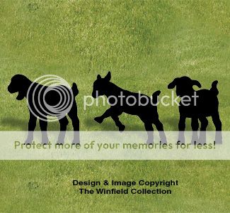 OT how much would you pay? - Goats