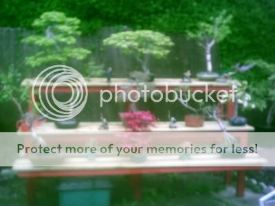bonsai display bench plans