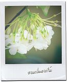 สวัสดีวันจันทร์...