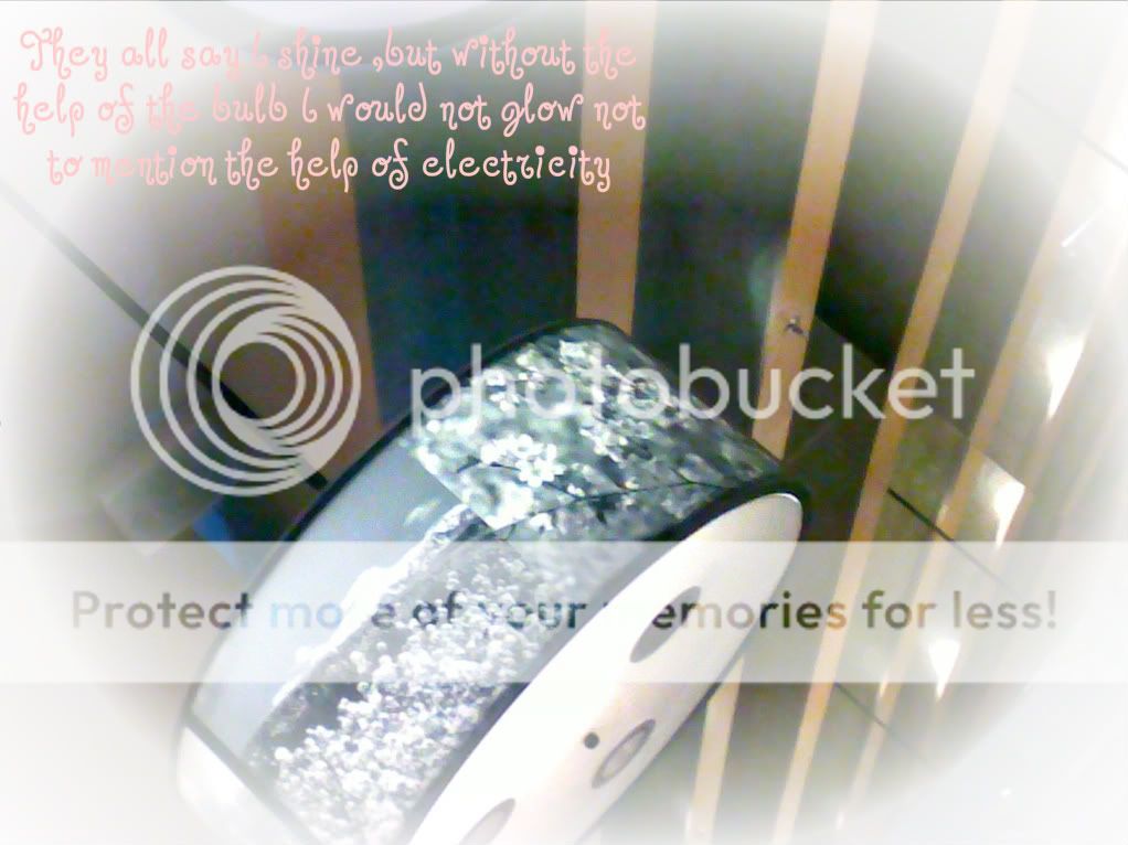 (C) Sweetie-Cupcake :)