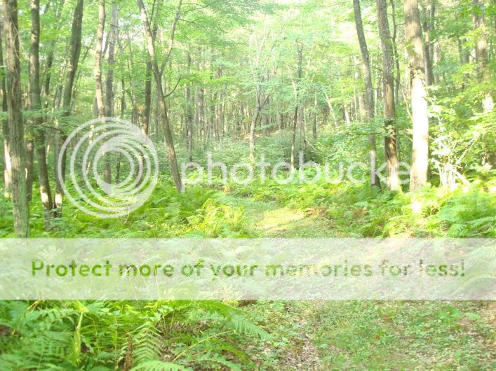 2009 Hunting Pictures Page 5 Rimfire Central Firearm Forum