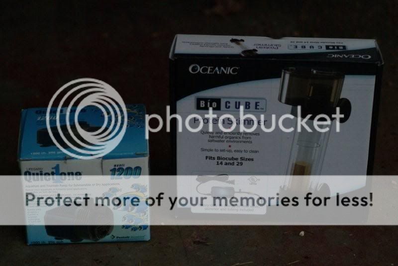 uv sterilizer petsmart