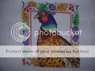 Pheasant-28April2010.jpg