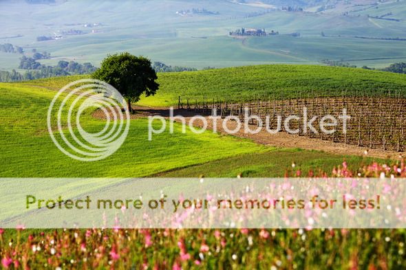 photo 14bNicolaeTomescu2_zpsd9b19d56.jpg